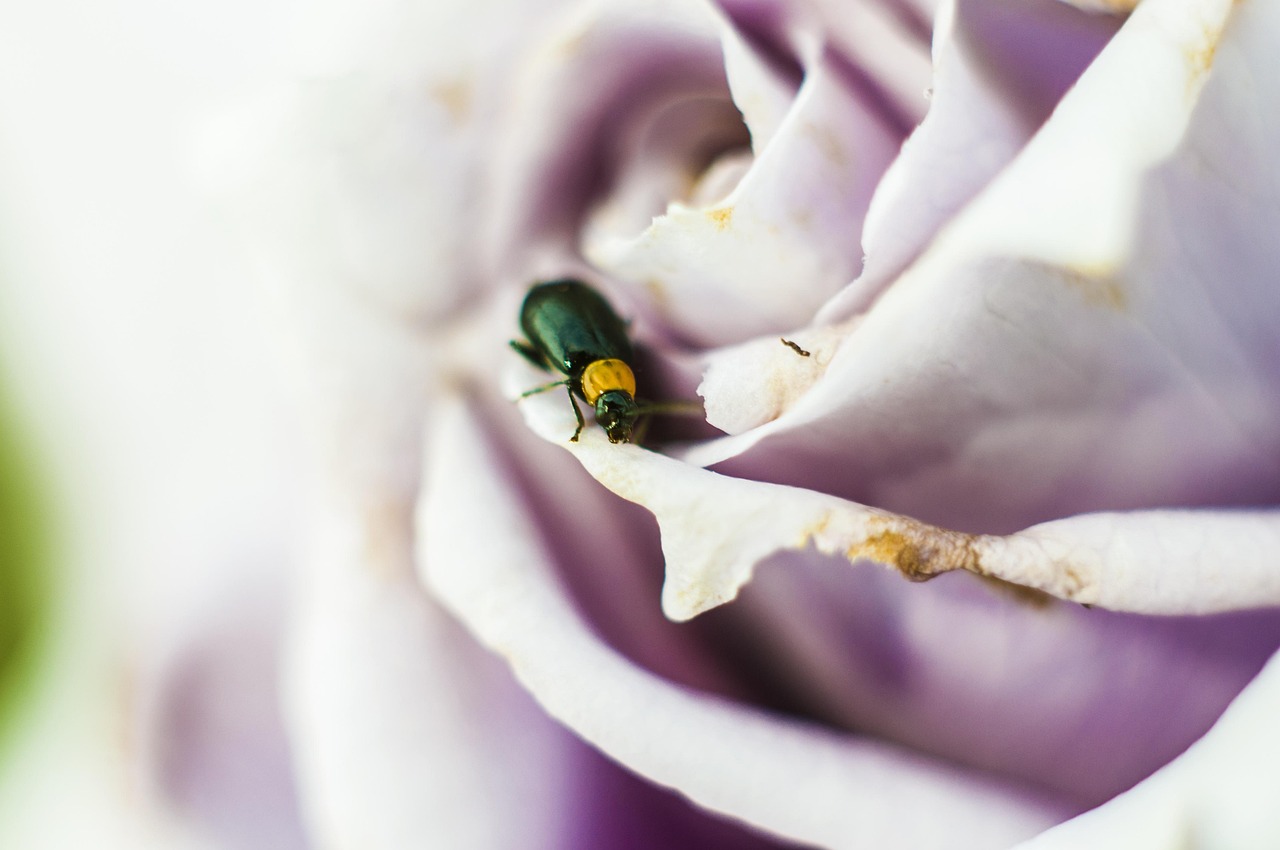 换季必做的三件事准备季节过渡