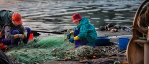 fishing net, fisherman, fishing, repair net, sea, nature, women, industry, sinner