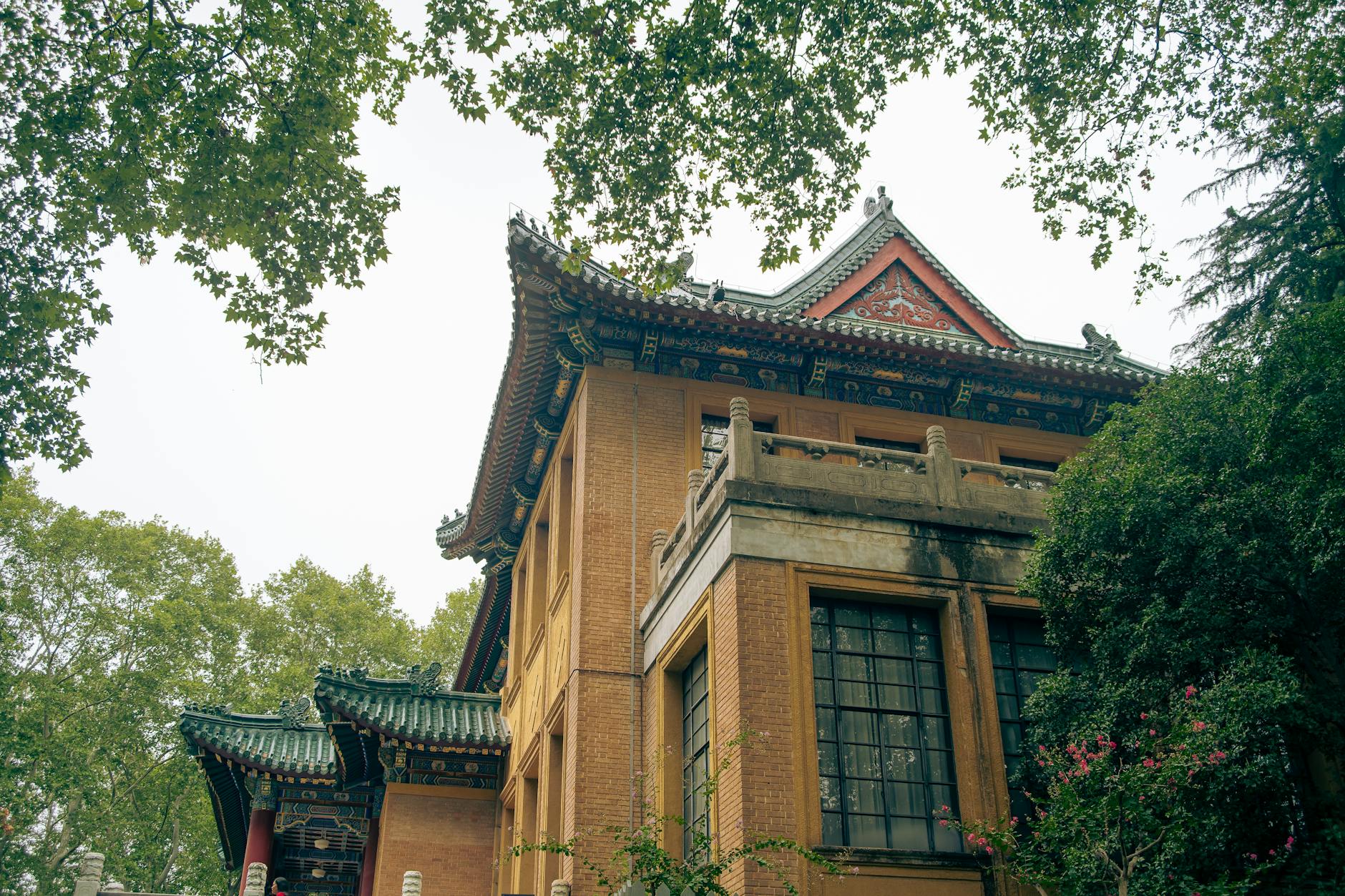 精简生活省钱消费观养成