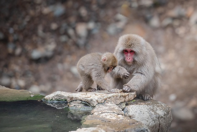 数字资产到底是什么:从钱包到私钥,普通人必须懂的 6 个常识 配图