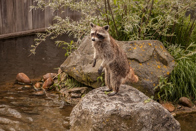 阅读体系:从泛读到建立个人知识图谱 配图