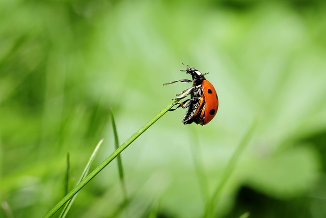职业成长系统:在不确定中积累确定性能力 配图