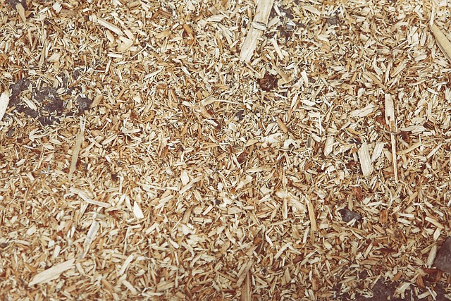 极简生活系统:用