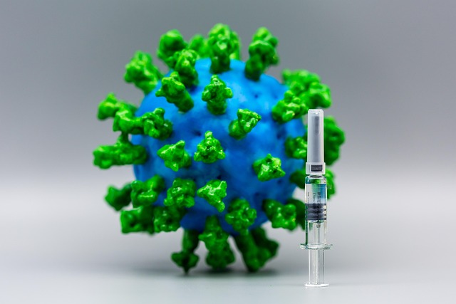 疫苗与药箱：34岁自由插画师，把12国行前健康准备做成三张清单 配图