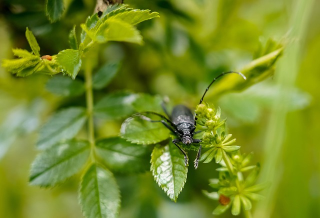 《财富系统搭建:从单一收入到多元现金流的复利路径》 配图