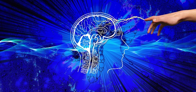 一年读一百本却记不住?一套让阅读真正长在自己身上的体系 配图