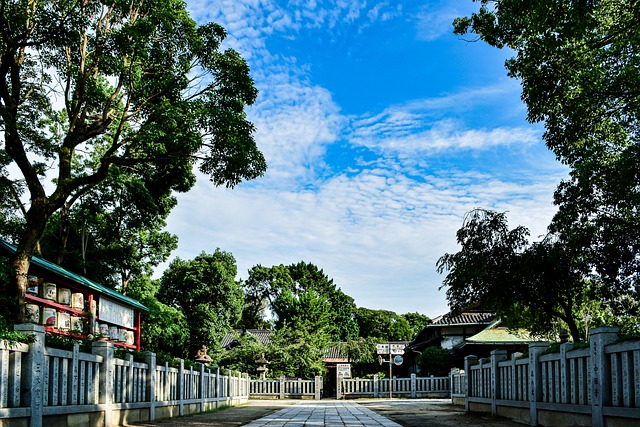 深度工作系统:用注意力管理与环境设计守住专注力 配图