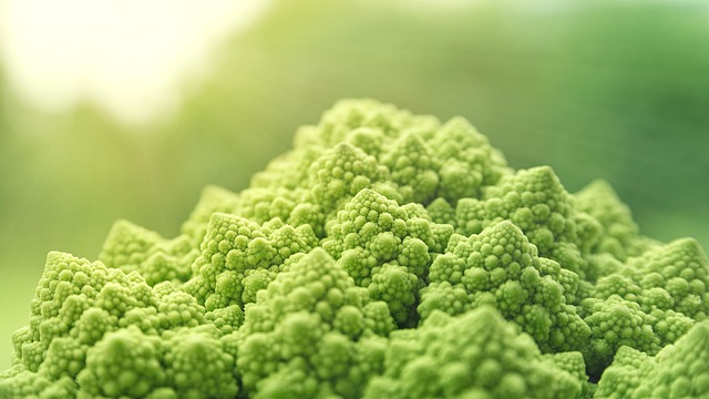 在信息洪流中保持清醒:用信息节食与第二大脑建立你的信息管理系统 配图