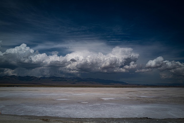三张卡刷爆三国:38岁财务分析师,用多币种记账法当天算清总账 配图