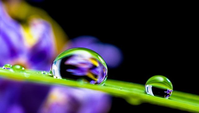 同步节奏:用三种会议节奏,替一家五十人公司省下每周六小时 配图