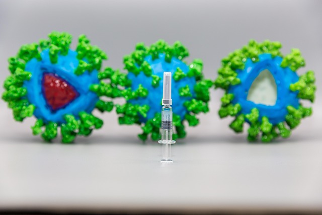 疫苗与药箱：34岁自由插画师，把12国行前健康准备做成三张清单 配图